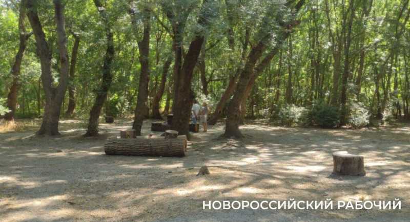 Пионерская роща в Новороссийске зовет гулять и дарит теплые воспоминания          