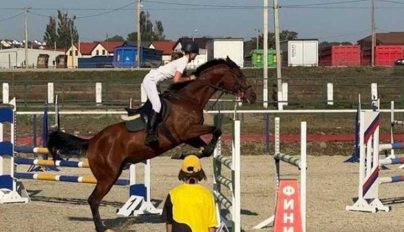 Пополнение в новороссийской спортшколе «Пегас» им. Героя РФ Сукуева В.В.: пять молодых скакунов проходят заездку под седло