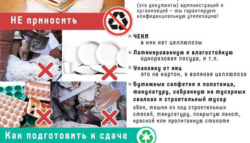 «Сдай макулатуру – спаси дерево»: новороссийцев приглашают присоединиться к Всероссийскому эко-марафону