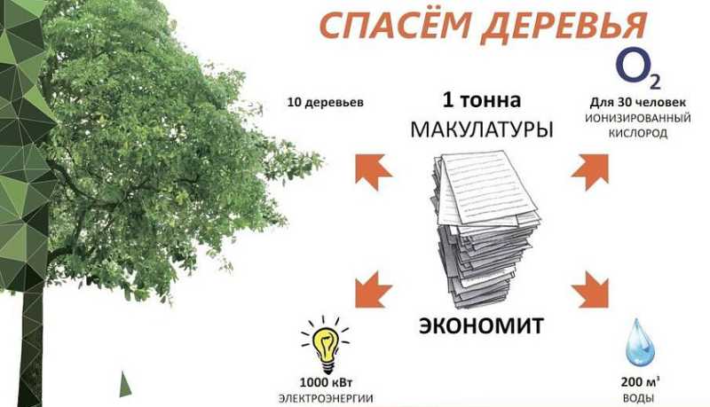 «Сдай макулатуру – спаси дерево»: новороссийцев приглашают присоединиться к Всероссийскому эко-марафону