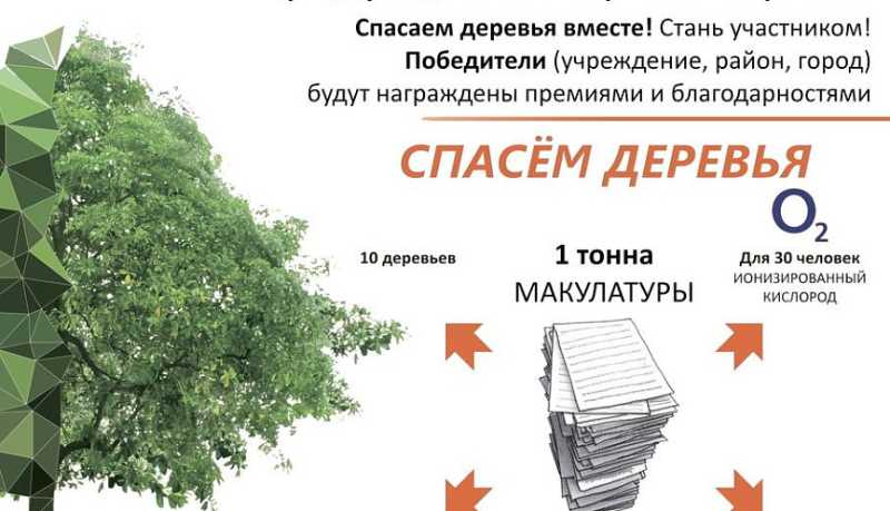 «Сдай макулатуру – спаси дерево»: новороссийцев приглашают присоединиться к Всероссийскому эко-марафону