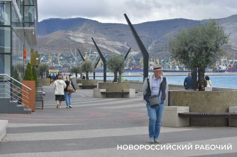 «Уверен, они выживут!» Итальянец привез в Новороссийск 90-летние оливы