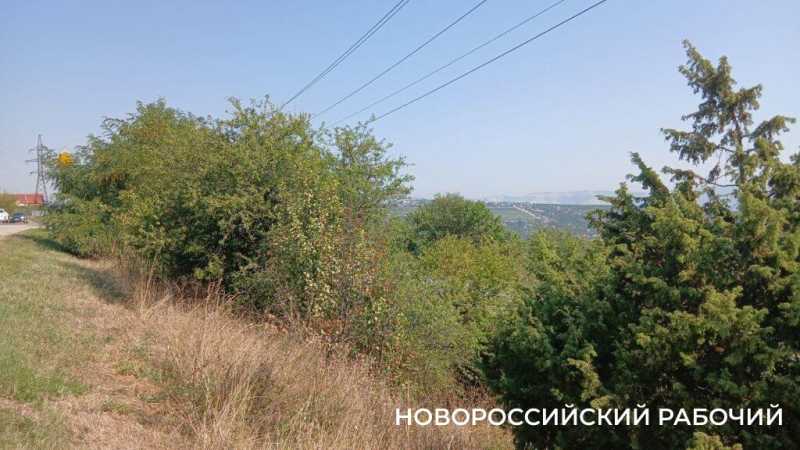 В Новороссийске осень вступает в свои права
