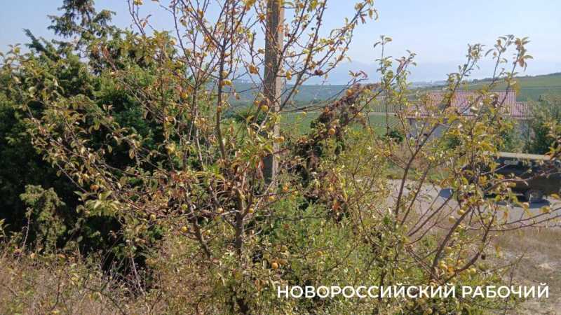 В Новороссийске осень вступает в свои права