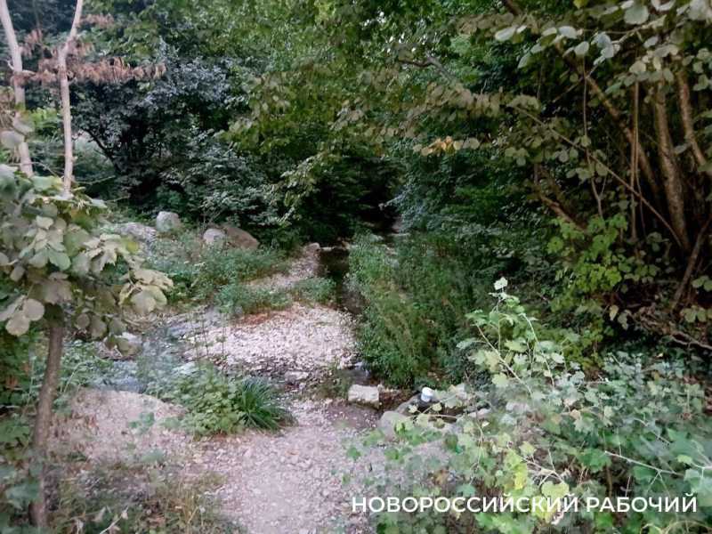 В Новороссийске пересыхают реки. Надеемся на дожди?