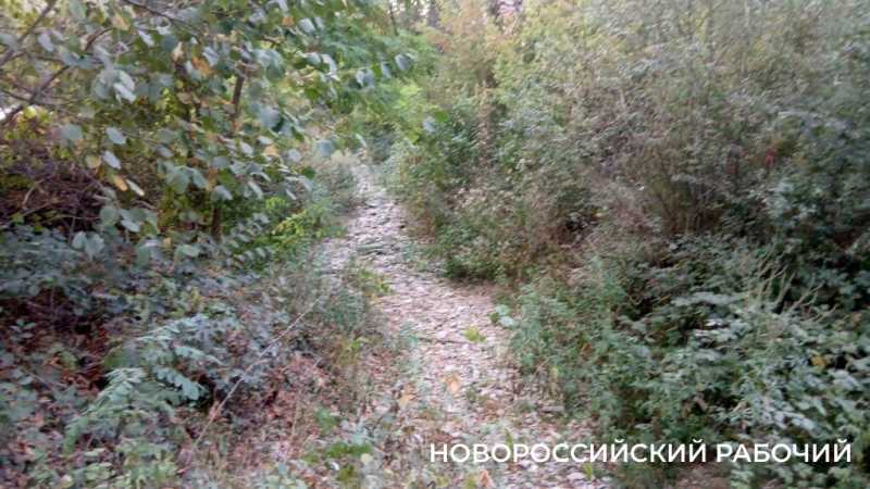 В Новороссийске пересыхают реки. Надеемся на дожди?
