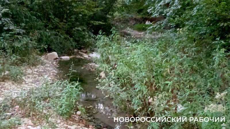 В Новороссийске пересыхают реки. Надеемся на дожди?