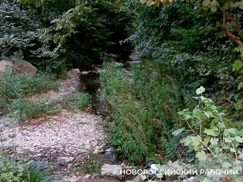 В Новороссийске пересыхают реки. Надеемся на дожди?
