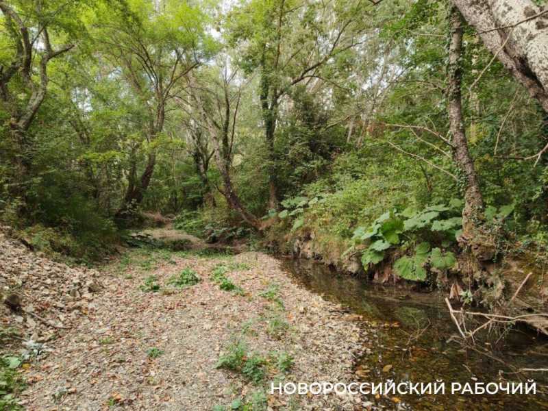 В Новороссийске пересыхают реки. Надеемся на дожди?