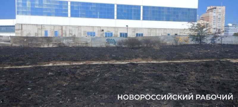 В Новороссийске потушили пожар в окрестностях особо охраняемой территории