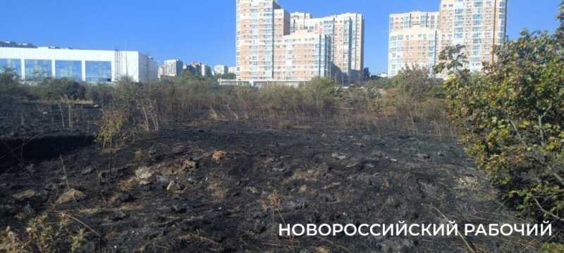 В Новороссийске потушили пожар в окрестностях особо охраняемой территории