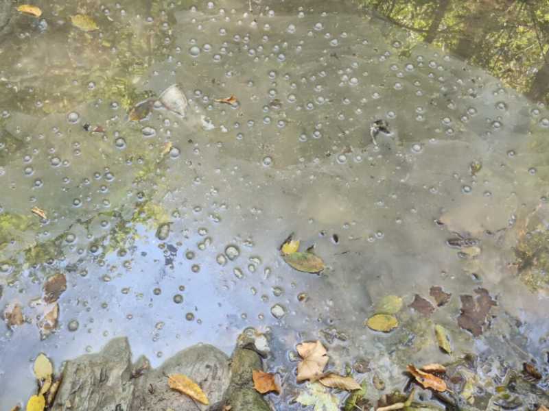 В Новороссийске в водопадах течет грязная вода со странными хлопьями