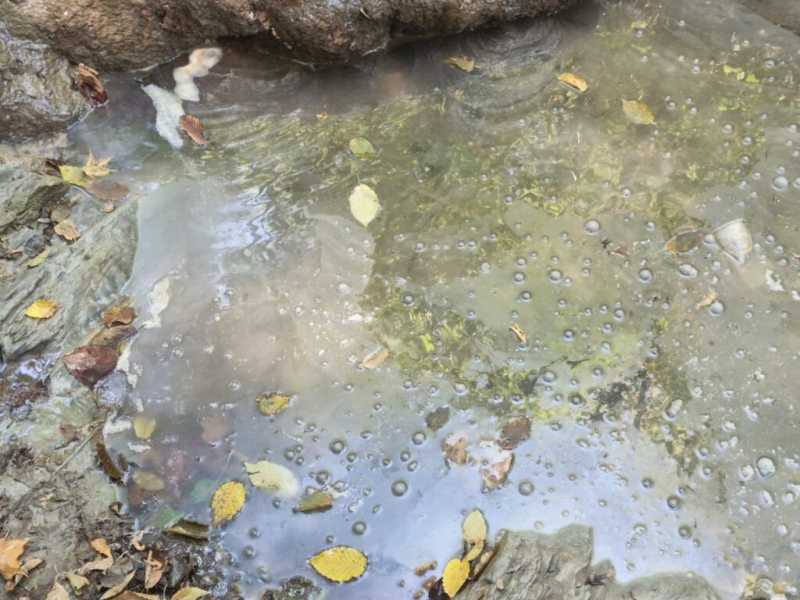 В Новороссийске в водопадах течет грязная вода со странными хлопьями