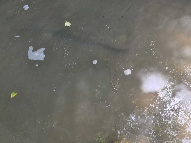 В Новороссийске в водопадах течет грязная вода со странными хлопьями