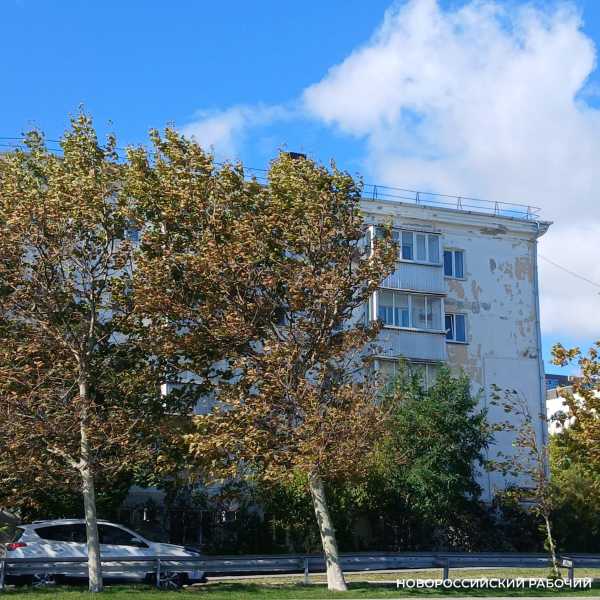 В Новороссийске задул первый холодный осенний норд-ост