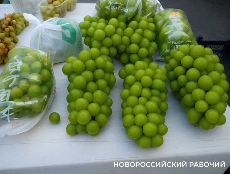 В сентябре в Новороссийске дешевеет даже китайский виноград