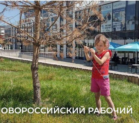 «Все погибает на наших глазах!» В Новороссийске жителя жалеют парк Фрунзе