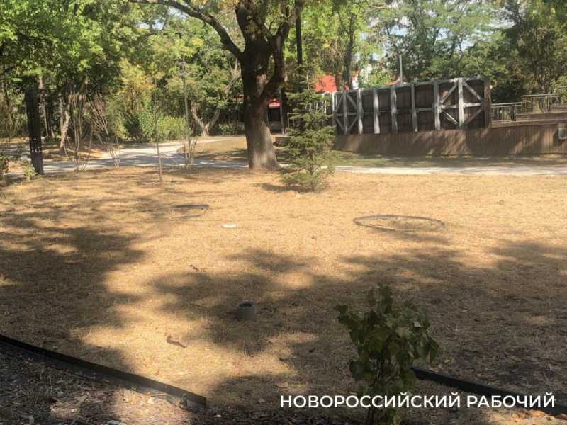 «Все погибает на наших глазах!» В Новороссийске жителя жалеют парк Фрунзе