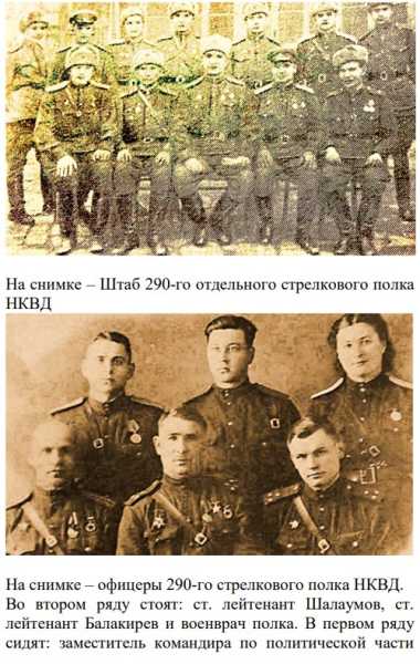 «Все равно Новороссийск будет нашим!»Краевед раскопал малоизвестные эпизоды штурма порта и освобождения города