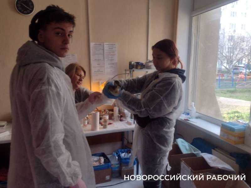 «Запах от них был адский»! В Новороссийске выхаживают птиц с признаками интоксикации нефтепродуктами