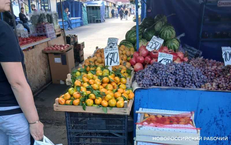 Абхазия, Китай, Иран? В Новороссийске продавцы путают родину мандаринов