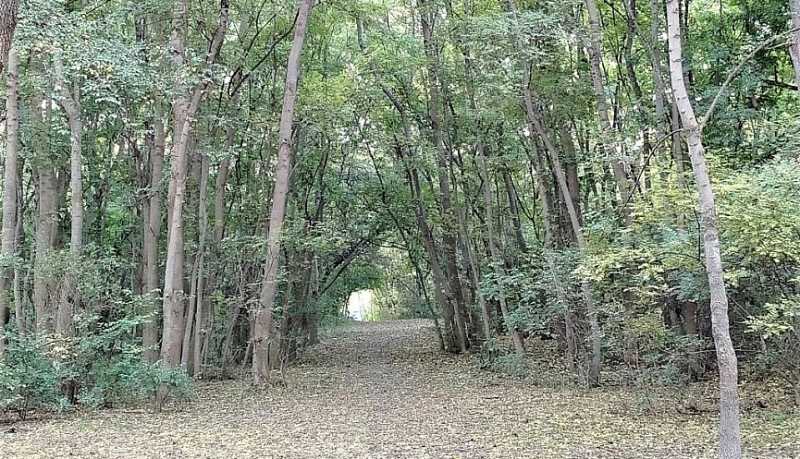 Информация о качестве атмосферного воздуха в городе Новороссийске за период наблюдений 24 &ndash; 25 октября