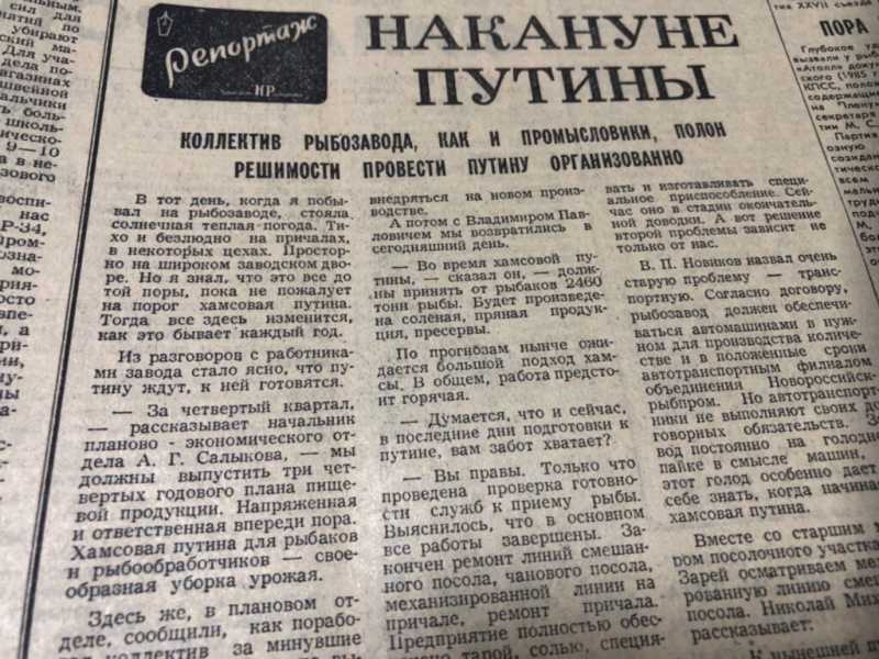 Как в Новороссийске хамсу ловили, зарплату задерживали и свалку «разгребали»