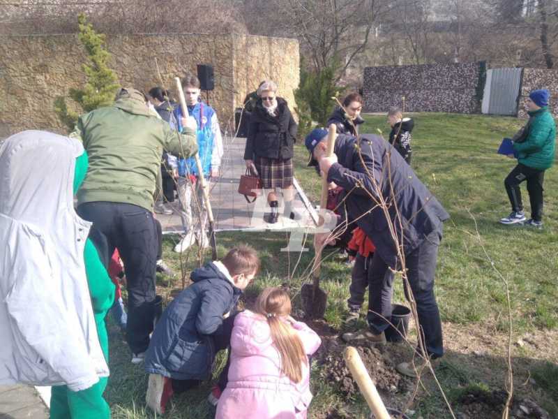 Леса много не бывает! В пригороде Новороссийска высадят орех и акации