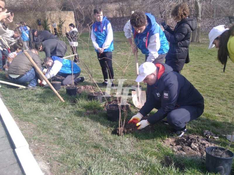 Леса много не бывает! В пригороде Новороссийска высадят орех и акации