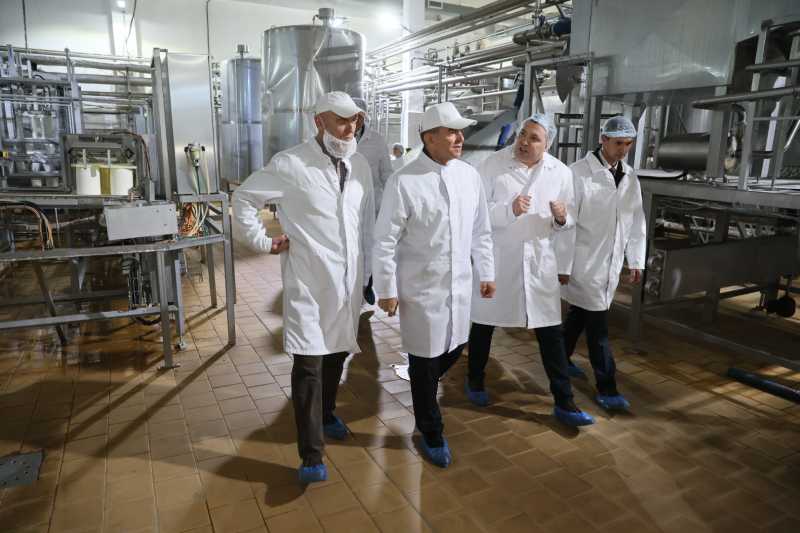 На заводе в Староминском районе расширяют производство сыров