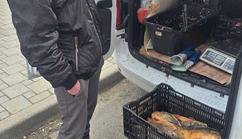 Напоминание о рисках, связанных с приобретением рыбной продукции в местах несанкционированной торговли