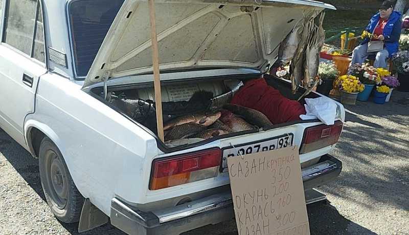 Напоминание о рисках, связанных с приобретением рыбной продукции в местах несанкционированной торговли