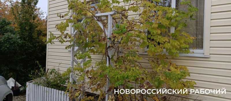 Новороссийцы наслаждаются красками осени перед тремя дождливыми днями