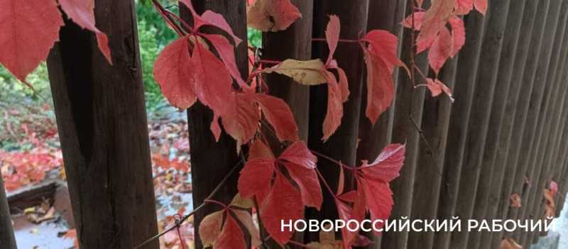 Новороссийцы наслаждаются красками осени перед тремя дождливыми днями