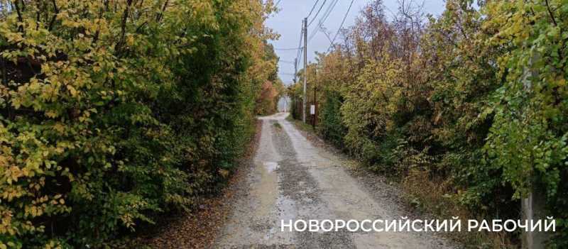 Новороссийцы наслаждаются красками осени перед тремя дождливыми днями