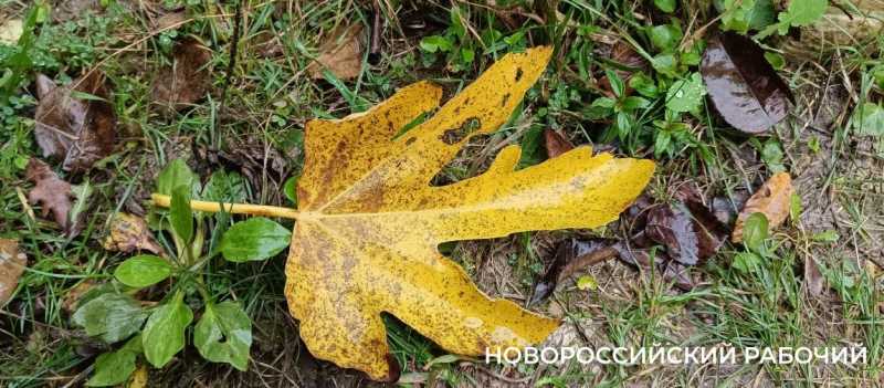 Новороссийцы наслаждаются красками осени перед тремя дождливыми днями