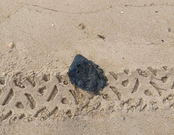 Новороссийцы помогают спасать пляжи города-курорта Анапа от мазута