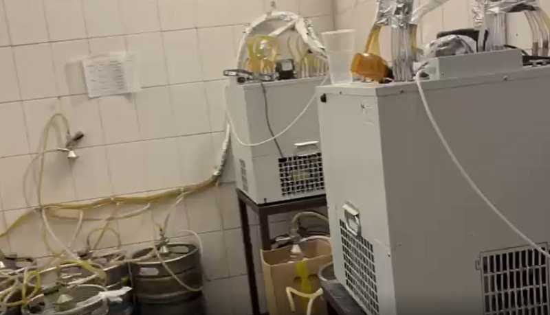Новороссийские полицейские изъяли из незаконного оборота 900 литров алкогольной продукции