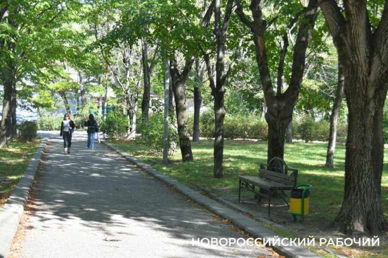 Оставьте парку тишину! В Новороссийске обсудили перспективы Октябрьской площади