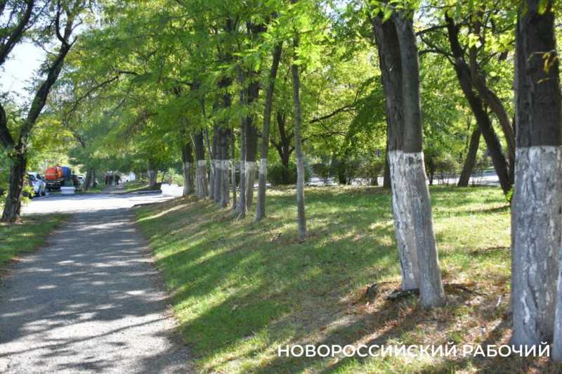 Оставьте парку тишину! В Новороссийске обсудили перспективы Октябрьской площади