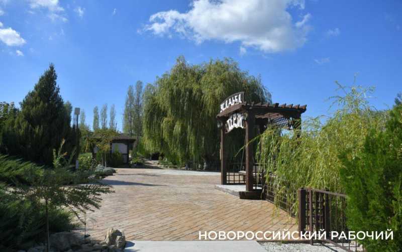 Под Новороссийском руками фермеров создано «черешневое королевство»!