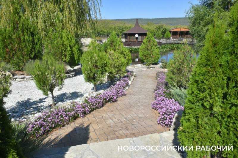 Под Новороссийском руками фермеров создано «черешневое королевство»!