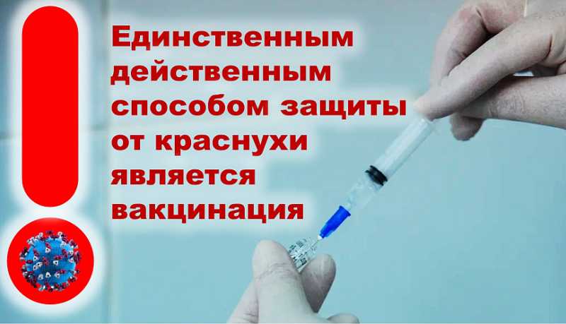 Роспотребнадзор напоминает о необходимости своевременно принимать меры по профилактике краснухи
