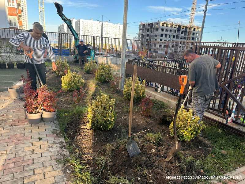 Школьники Новороссийска смогут выращивать деревья, если их научат