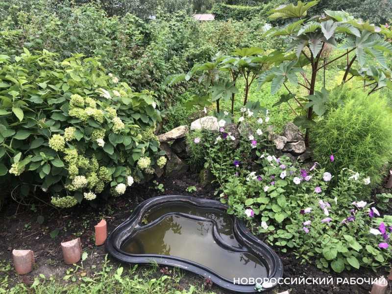 Советы дня на 25 октября: о расписании поездов, &laquo;Поле чудес&raquo; и гражданском правосудии