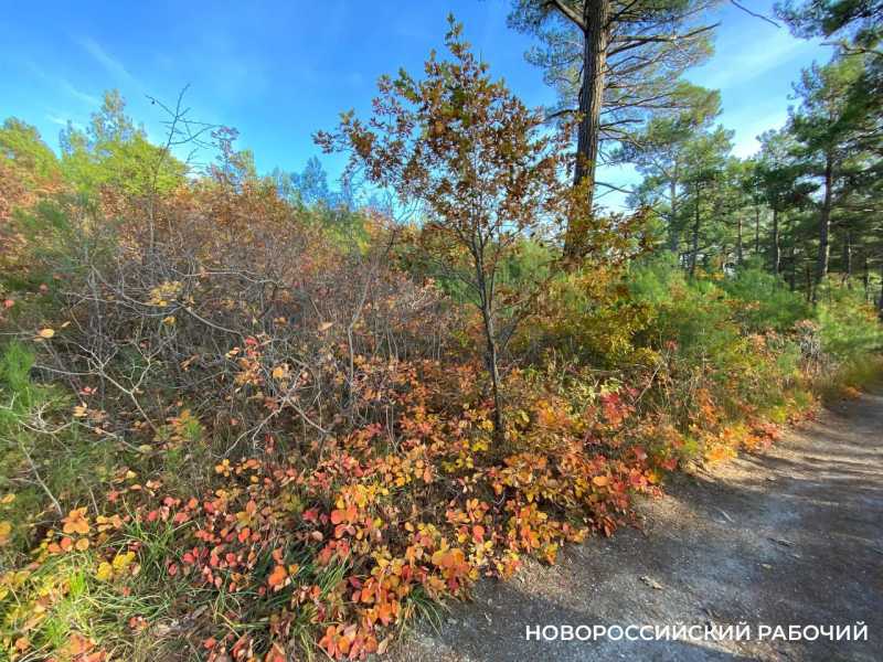 Советы дня на 27 октября: о колючей проволоке, капризных сотрудниках и боьбе со злокачественными образованиями