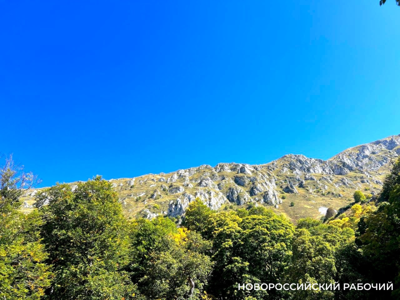 Советы дня на 31 октября: о работниках СИЗО, письме Хрущеву и &laquo;Наказе гражданину города Новороссийска&raquo;