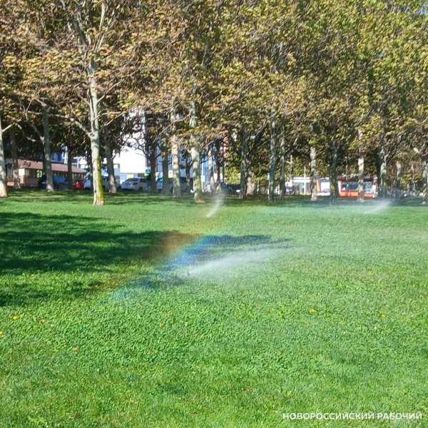 Советы дня на 4 октября: о карманных часах, животных и космосе