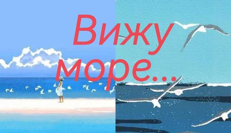 Стартовал проект для школьников «Карта природы Новороссийска»