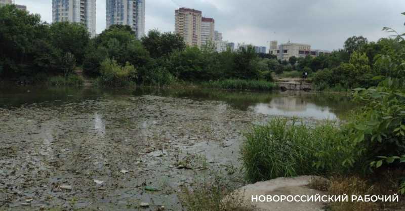 В Новороссийске горы ила будут лежать на Южных прудах до нового года